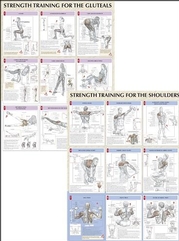 Strength Training Anatomy Poster Series