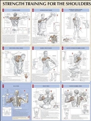 Strength Training for the Shoulders Poster