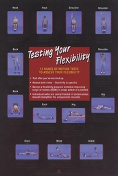 Testing Your Flexibility Poster