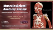 Musculoskeletal Anatomy Review