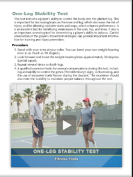 One-Leg Stability Test