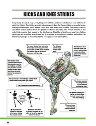 Kicks &amp; Knee Strikes - Delavier MMA