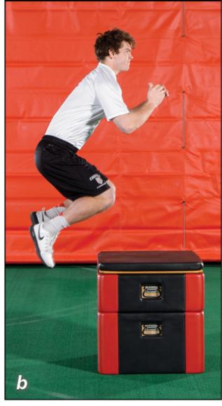 Figure 4.52 Box jump.