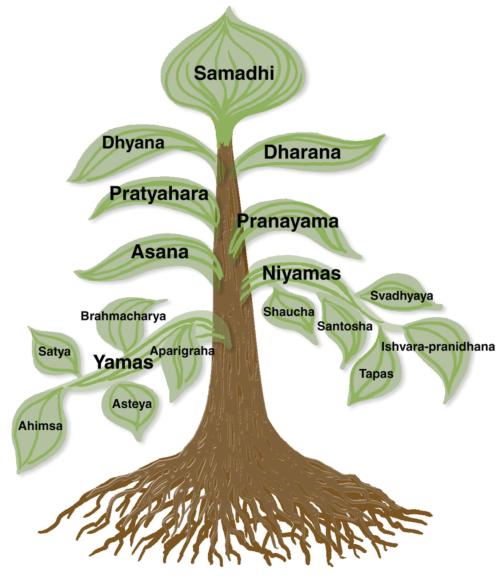 Figure 1.1 The tree of yoga.