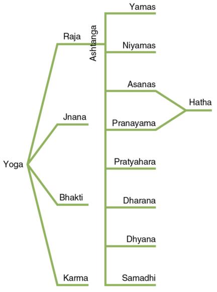 Figure 1.2 Yoga lineage.