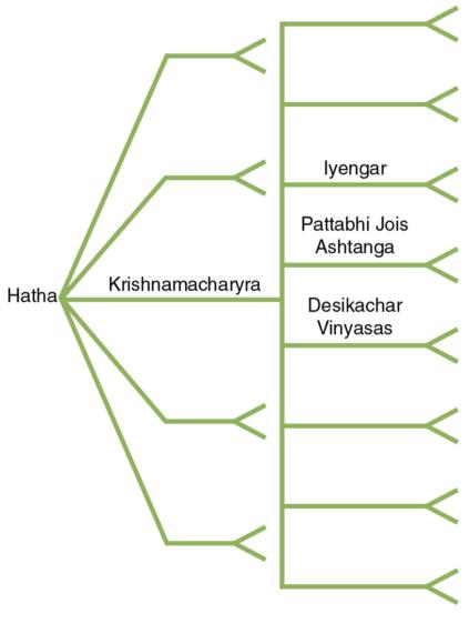 Figure 1.3 Hatha yoga lineage. The blank lines represent other lineages.