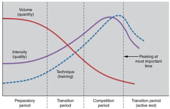 Figure 15.1 The model of linear periodisation.