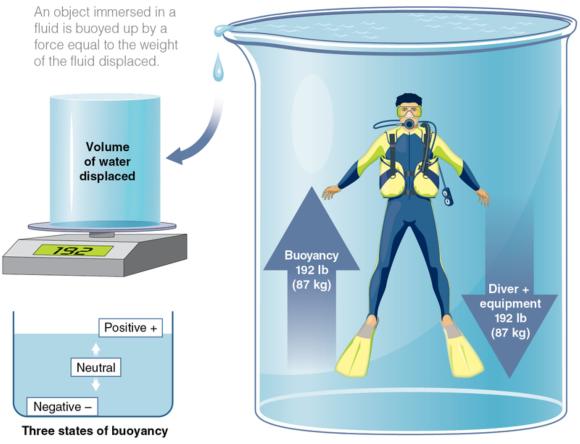Figure 2.8 Principles of buoyancy.