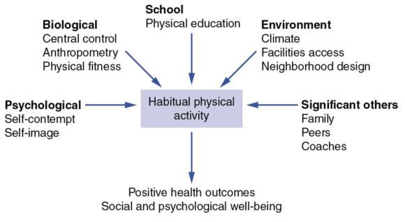 Figure I.1 The basic schema by which multiple determinants might act to dictate physical behavior for health outcomes in humans.