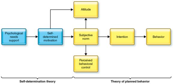 Figure 6.1 Model depicting integration of self-determination theory and the theory of planned behavior.