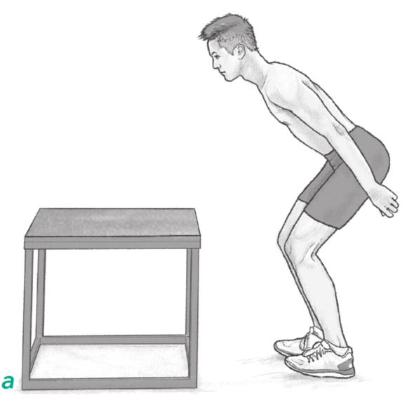 Figure 2.1 Static start positions for jumps onto a box: little knee flexion; deeper knee bend.