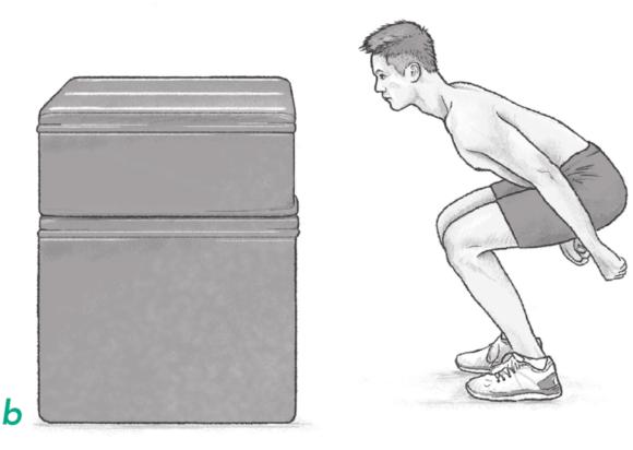 Figure 2.1 Static start positions for jumps onto a box: little knee flexion; deeper knee bend.