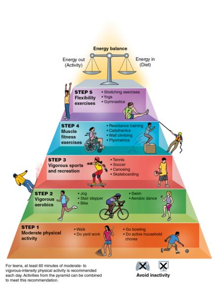 Figure 1.2 The Physical Activity Pyramid for Teens includes many types of activities.
