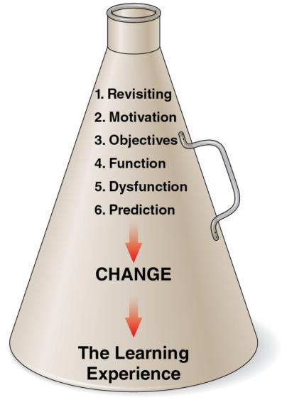 Figure 13.3 The frontloading bullhorn: single questions asked before the learning experience.