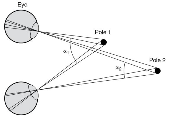 Figure 5.4 The detection of distance: The angles of the light rays from the distant pole change less than those from the near pole as the head and eyes are moved.