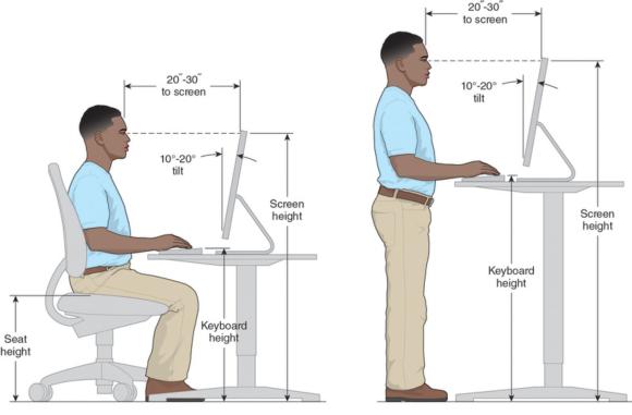 Figure 13.1 Computer workstation anthropometrics for seated () and standing () operators.