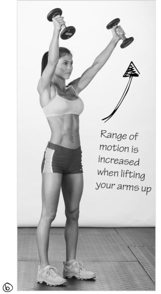 Range of motion is increased when lifting your arms up