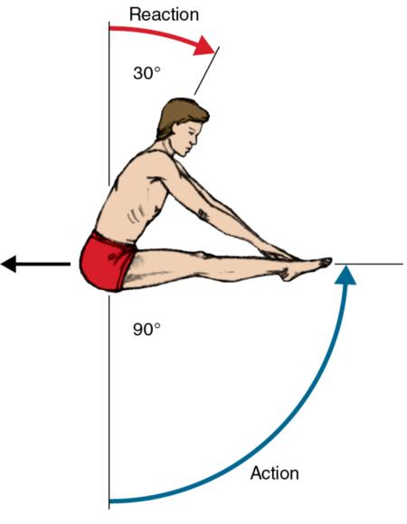 Figure 7.8 When the diver’s extended legs are raised 90Â° in a counterclockwise direction, the upper body reacts by moving 30Â° in a clockwise direction.