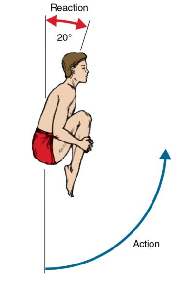 Figure 7.9 When the diver's flexed legs are raised, they have less rotary inertia than when they are raised in an extended position. The upper-body response is less.