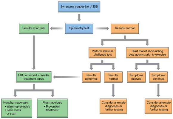 Figure 7.9 Decision tree for the diagnosis of exercise-induced bronchoconstriction (EIB).