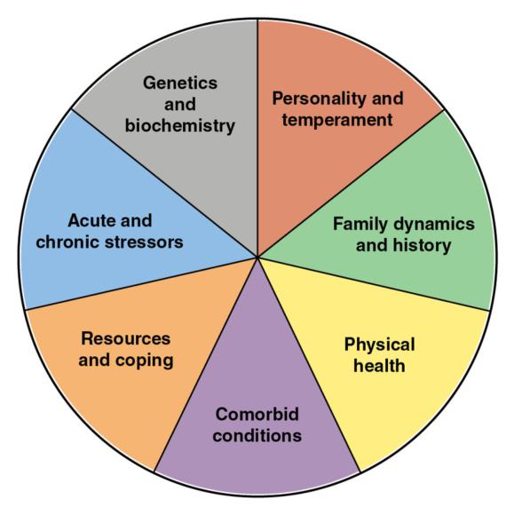 Figure 17.1 The biopsychosocial - spiritual model is a framework for understanding a person's responses in a given situation and the development of symptoms.