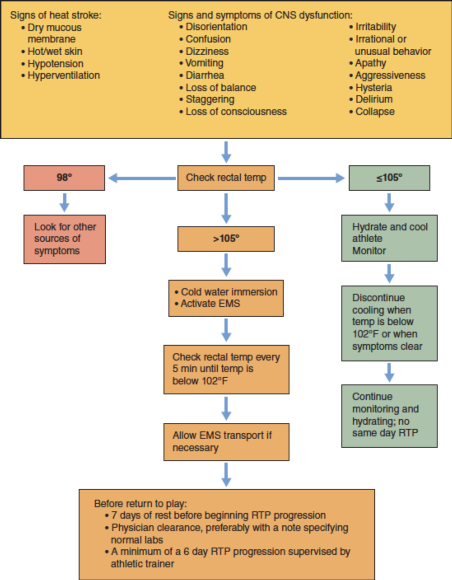 Figure 15.1 Decision tree for EHS.
