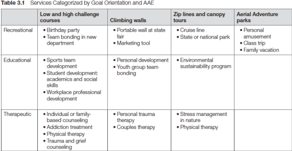 Table 3.1 Services Categorized by Goal Orientation and AAE