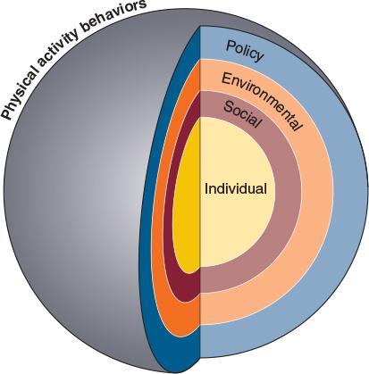Figure 3.6 Multiple levels of influence on physical activity behaviors: The social ecological model.